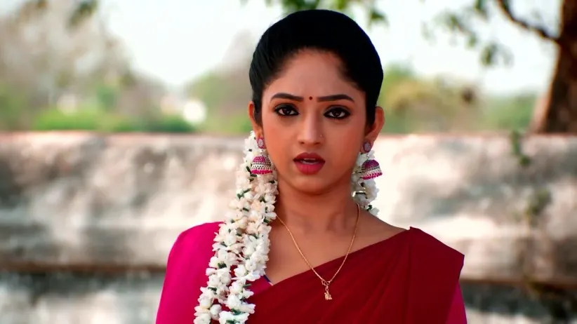 Will Siddharth Win the Task?