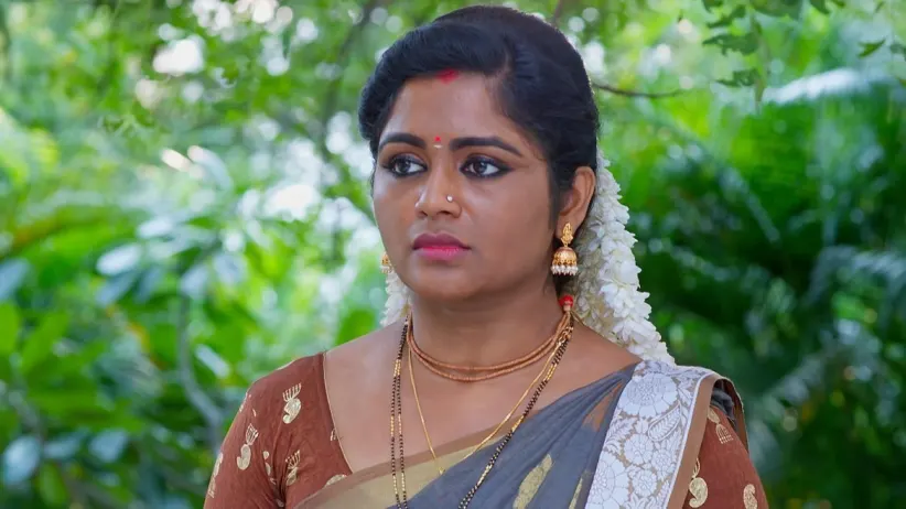 Krishna Is Accused of Theft