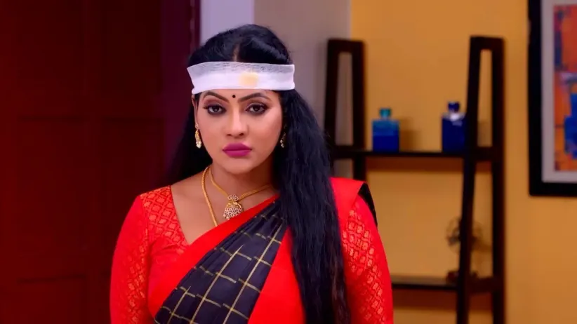 Seetha Raman - March 27, 2023 - Best Scene
