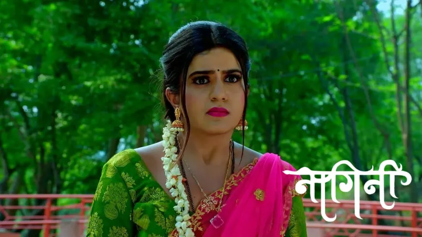 Has Shivani Returned as Shailu?