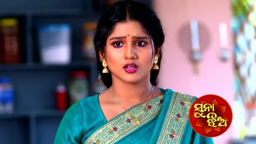 Gita Learns about Priya's Job