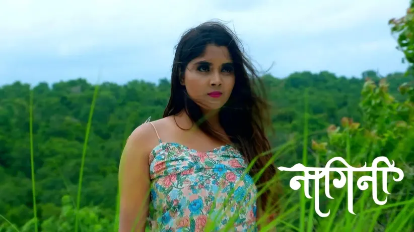 Shivani Learns Mayangini's Motive