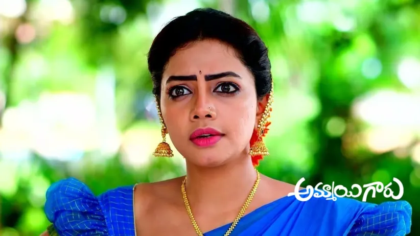 Roopa and Raju Catch Govind