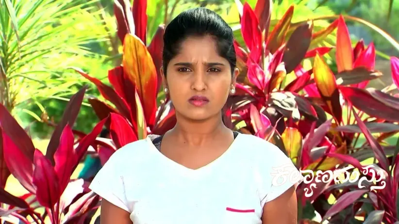 A Glimpse of Ganga Shocks Chandrika