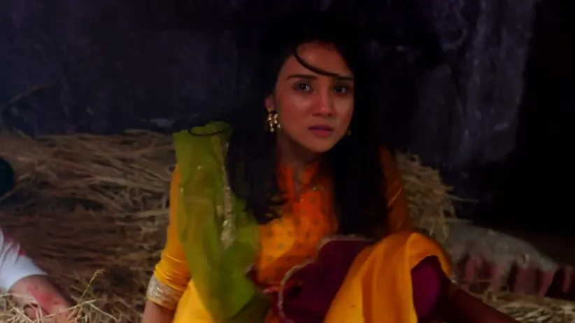 Sumeet Throws Dust in the Gorilla's Eyes | Meet