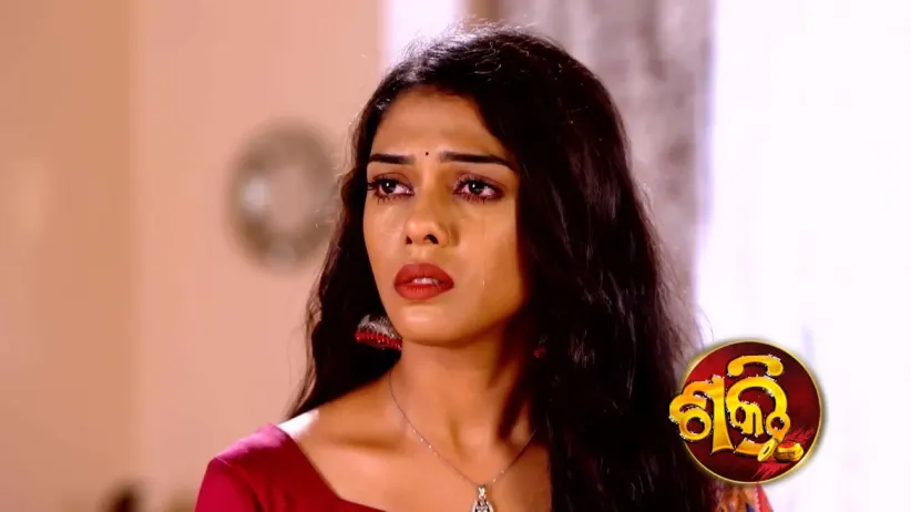 Rajlaxmi's Terms for Shakti