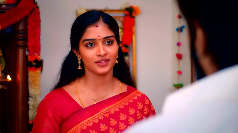 Karthigai Deepam - November 11, 2023 - Episode Spoiler 