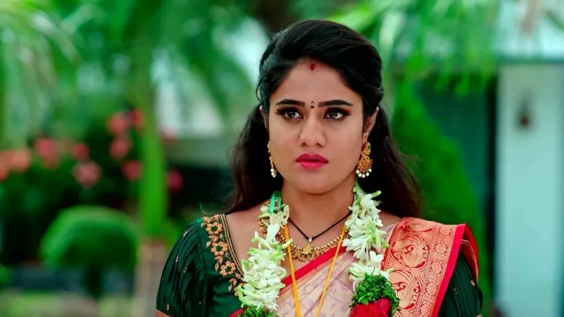 Jagadhatri and Kedar’s Fake Marriage