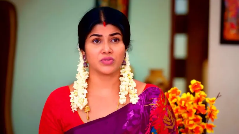 Karthigai Deepam - November 17, 2023 - Episode Spoiler