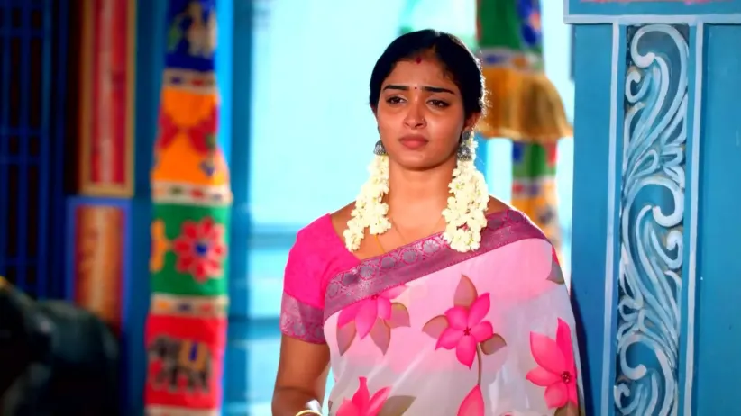 Karthigai Deepam - November 18, 2023 - Episode Spoiler