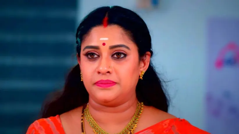 Karthigai Deepam - November 29, 2023 - Episode Spoiler