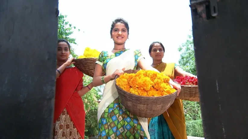Jaya Surya Follows Ganga