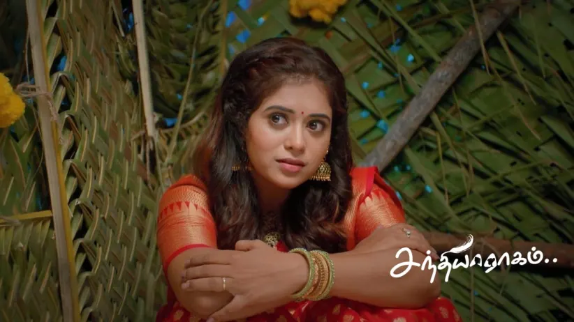 Charulatha's Mother Pacifies Charulatha