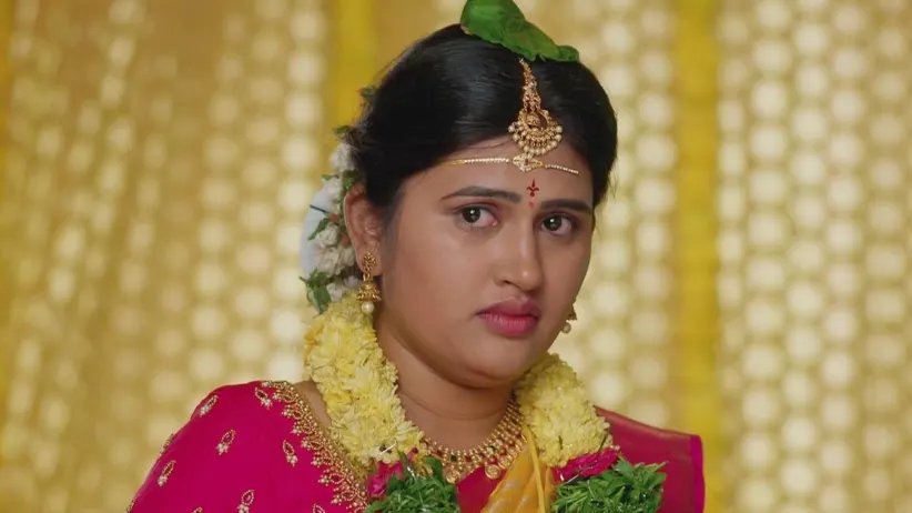 Maa Annayya - April 04, 2024 - Webisode