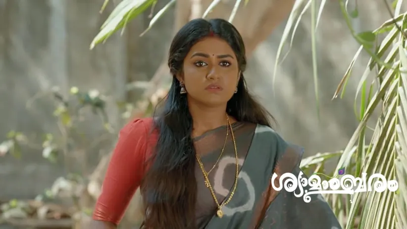 Ashwathy Hides from Arun