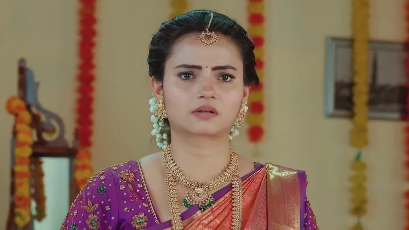 Maa Annayya - April 17, 2024 - Webisode