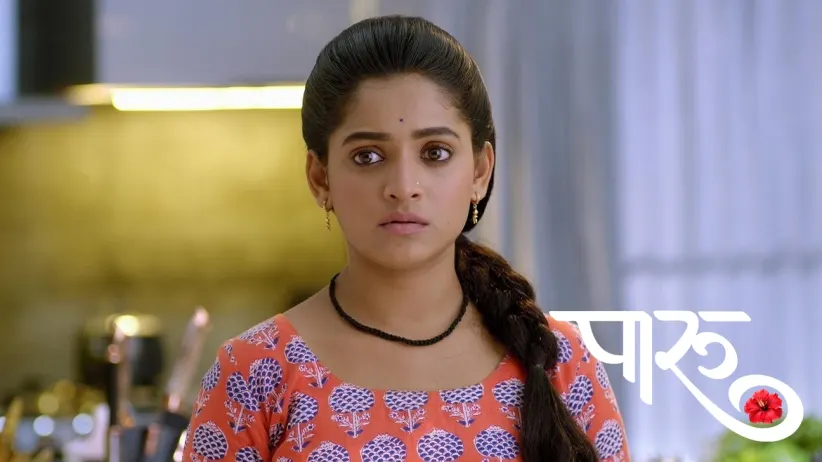 Damini Suspects Paaru and Aditya's Friendship