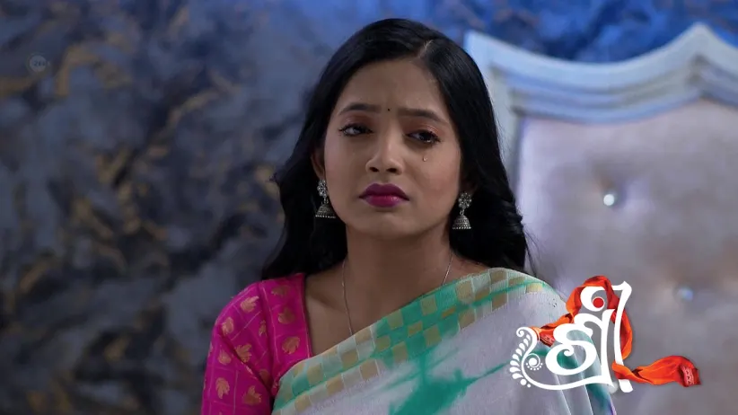 Shree Serial Watch Shree TV Serial 31st May 2024 Full Episode 119 Online on ZEE5