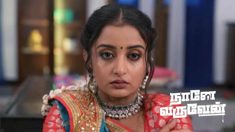 Kaveri Consoles Damini