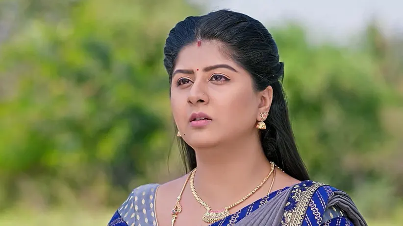 Vaidehi Parinaya - July 01, 2024 - Episode Spoiler