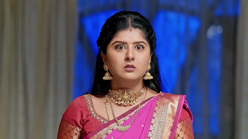 Vaidehi Parinaya - June 25, 2024 - Episode Spoiler