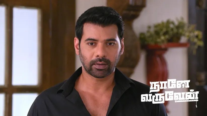 Damini Schemes against Radha