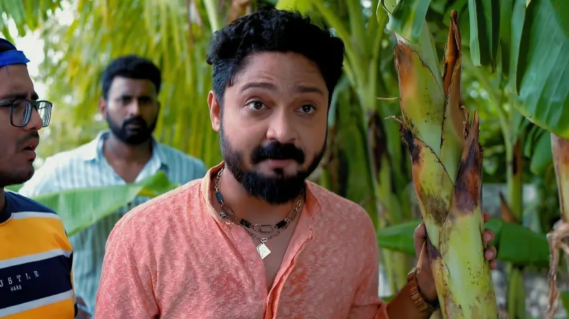 Puber Moyna - 03 July, 2024