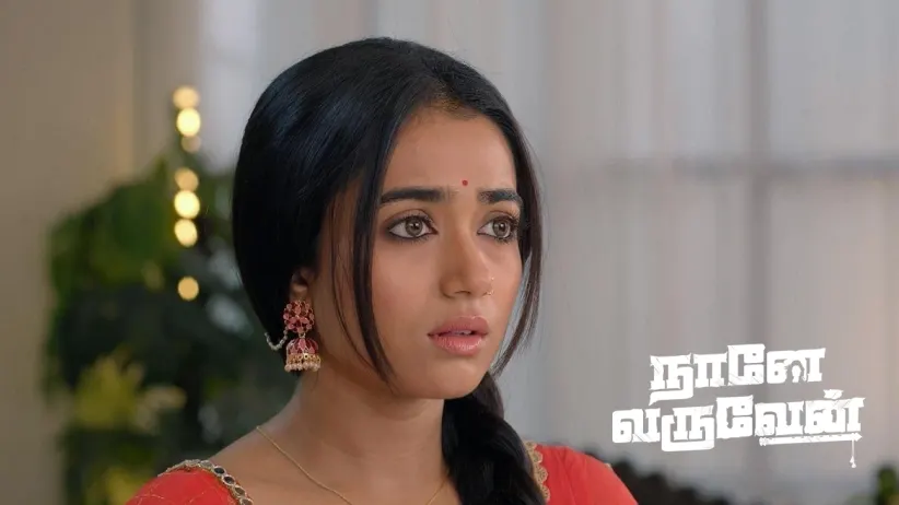 Damini Suspects Rishi