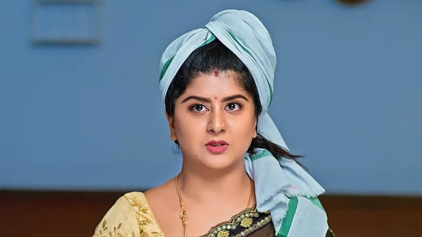 Vaidehi Parinaya - July 04, 2024 - Episode Spoiler