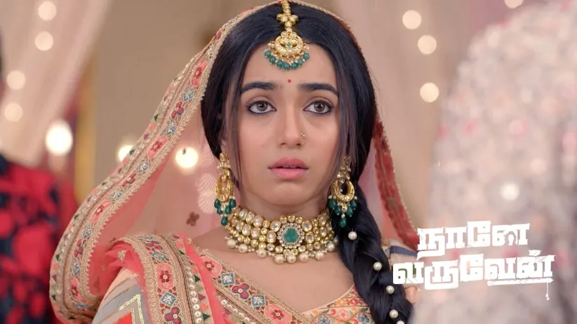 Thulasi's Spirit Stops Damini