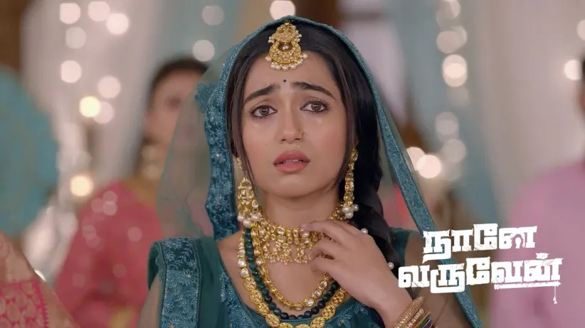 Damini Deletes the Evidence