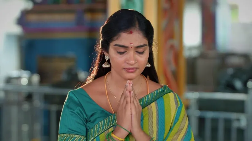 Karthigai Deepam - July 22, 2024 - Episode Spoiler