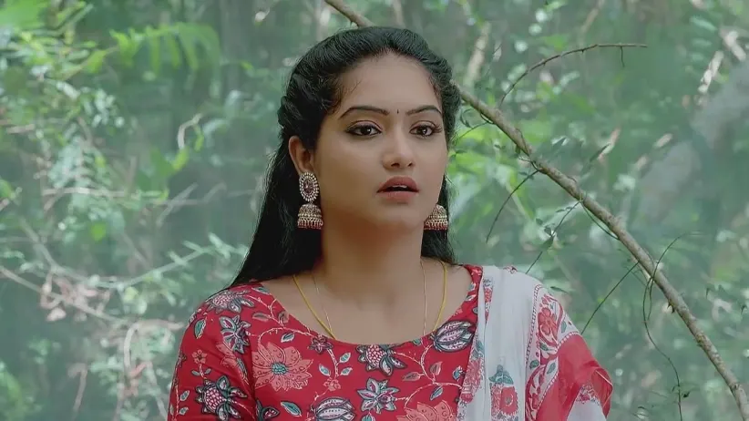 Meenakshi Goes to Get Honey