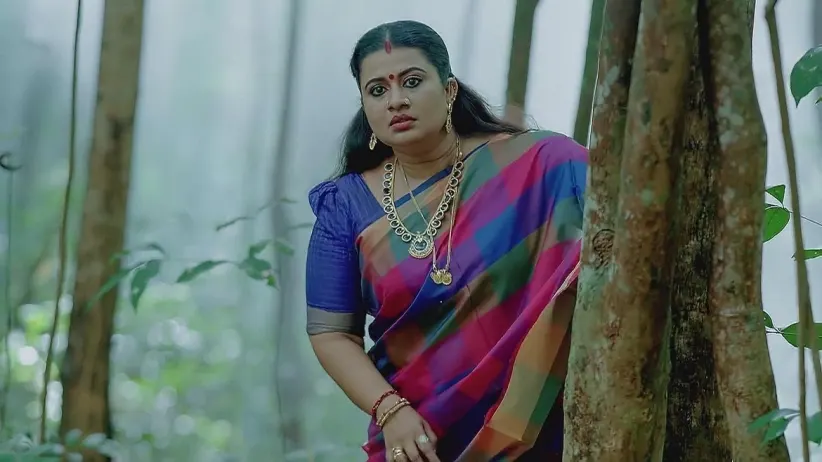 Savithri Follows Meenakshi | Valsalyam