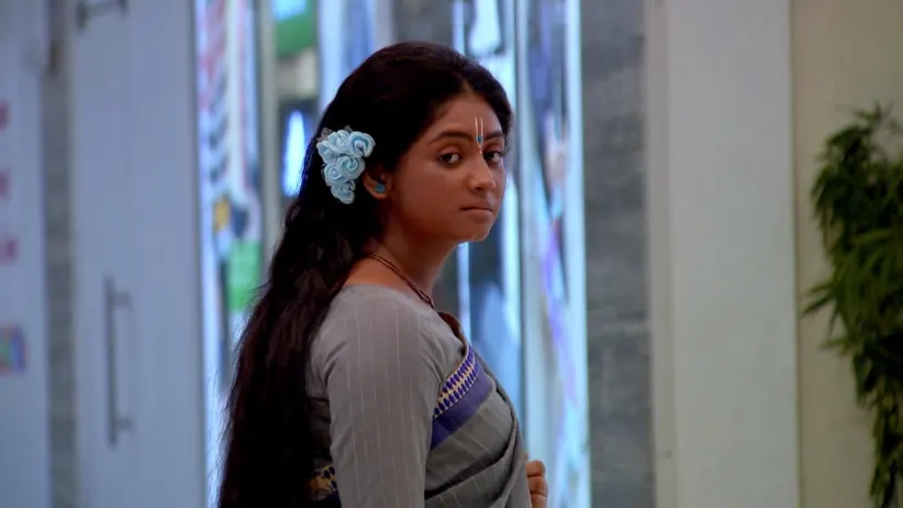Shyama Apologises to Disha