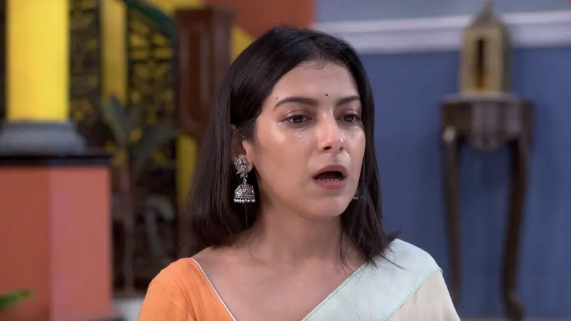 Neem Phooler Madhu - August 13, 2024 - Episode Spoiler