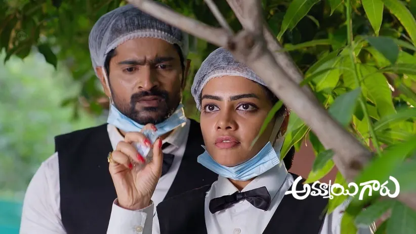 Raju and Roopa Spend a Romantic Time