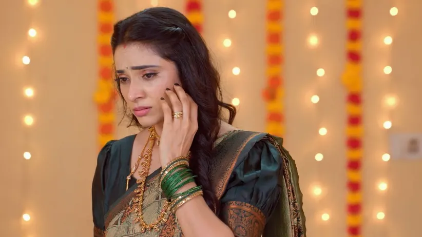 Karthigai Deepam - August 25, 2024 - Episode Spoiler