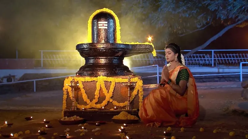 Naagamandala - 28 August, 2024