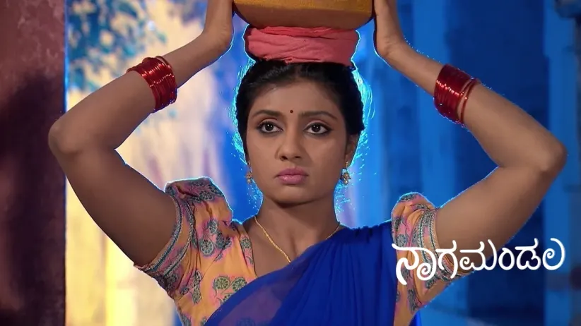 Dhananjaya Attacks Parnika in Her Snake Form