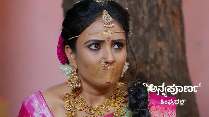 Rudrani Decides to Kill Srikar