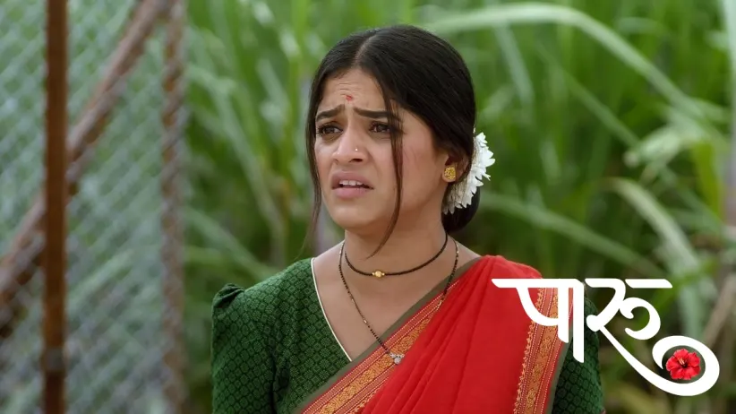 Pritam Takes the Blame for Grain Scam on Himself