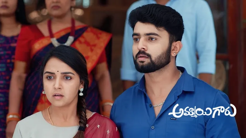 Raju and Roopa Get Separated Again