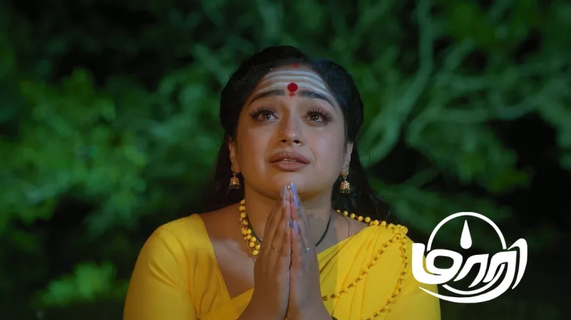 Maari Arrives at the Location of the Herb