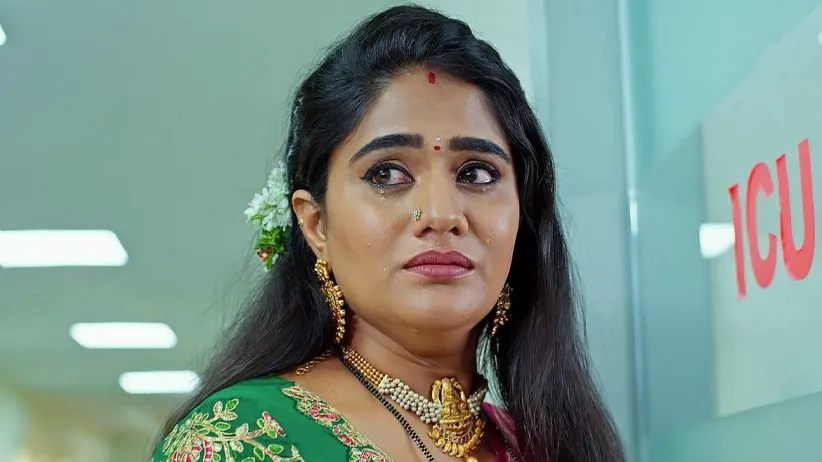 Jagadhatri - 24 September, 2024