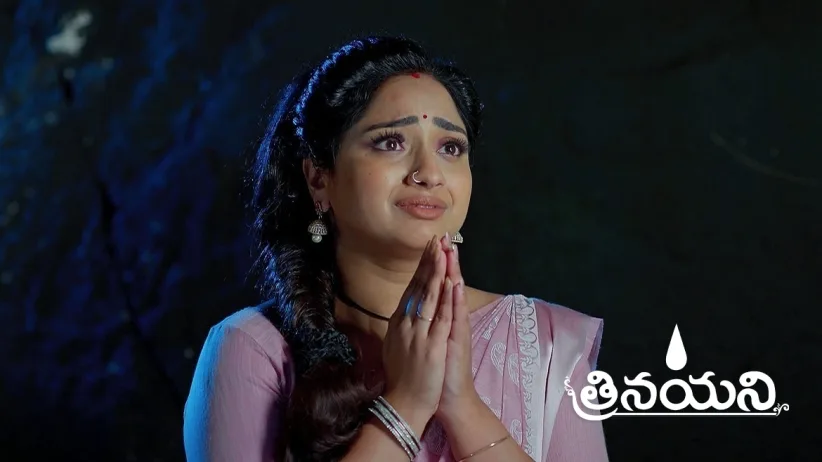 The Forest Deity Helps Nayani’s Family