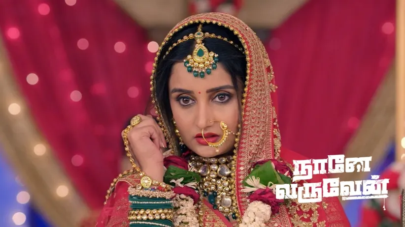 Vishwanath Blames Kadambari