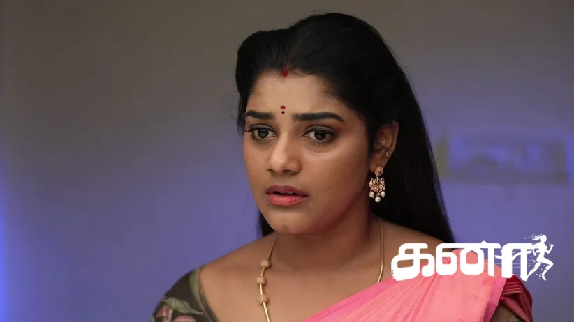 Ananya Tries to Expose Subha