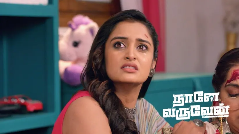 Mohan Apologises to Damini