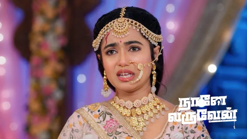 Mohan's Allegations against Radha